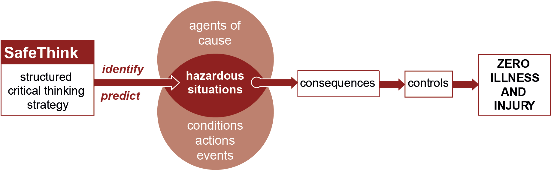 Safethinkagents-cause-flowchart.png